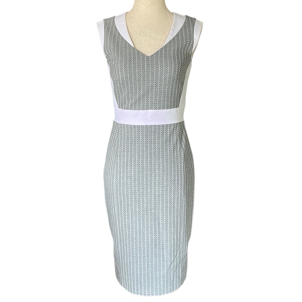 Antonio Melani fitted pin stripe dress